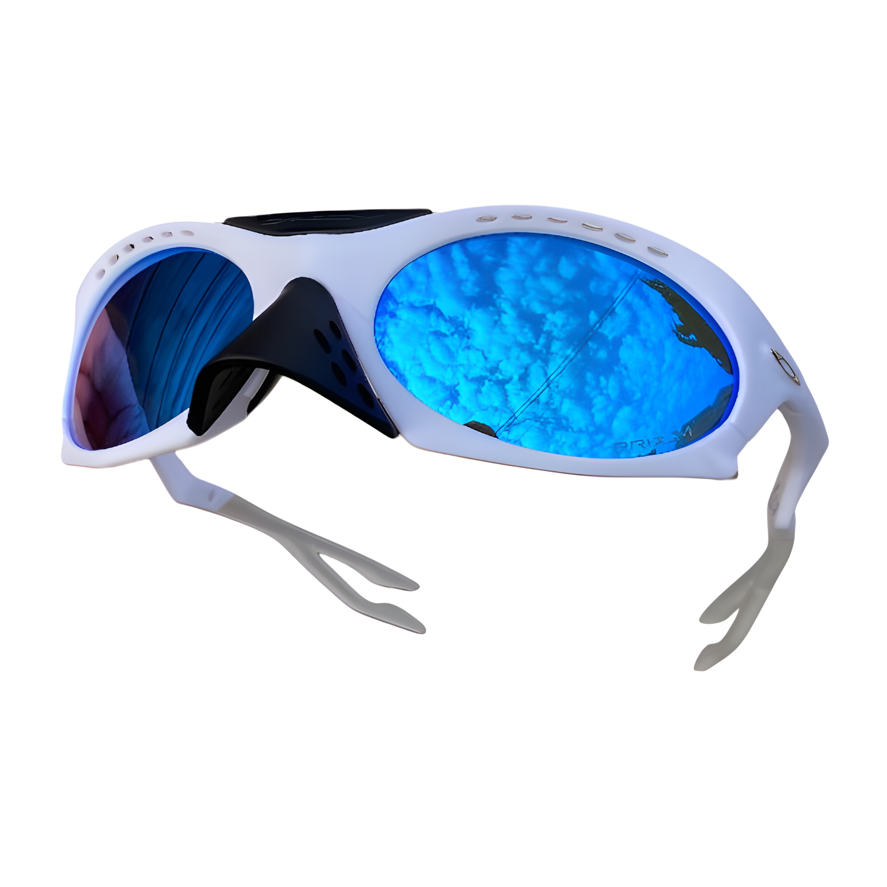 Óculos de Sol Plantaris Premium