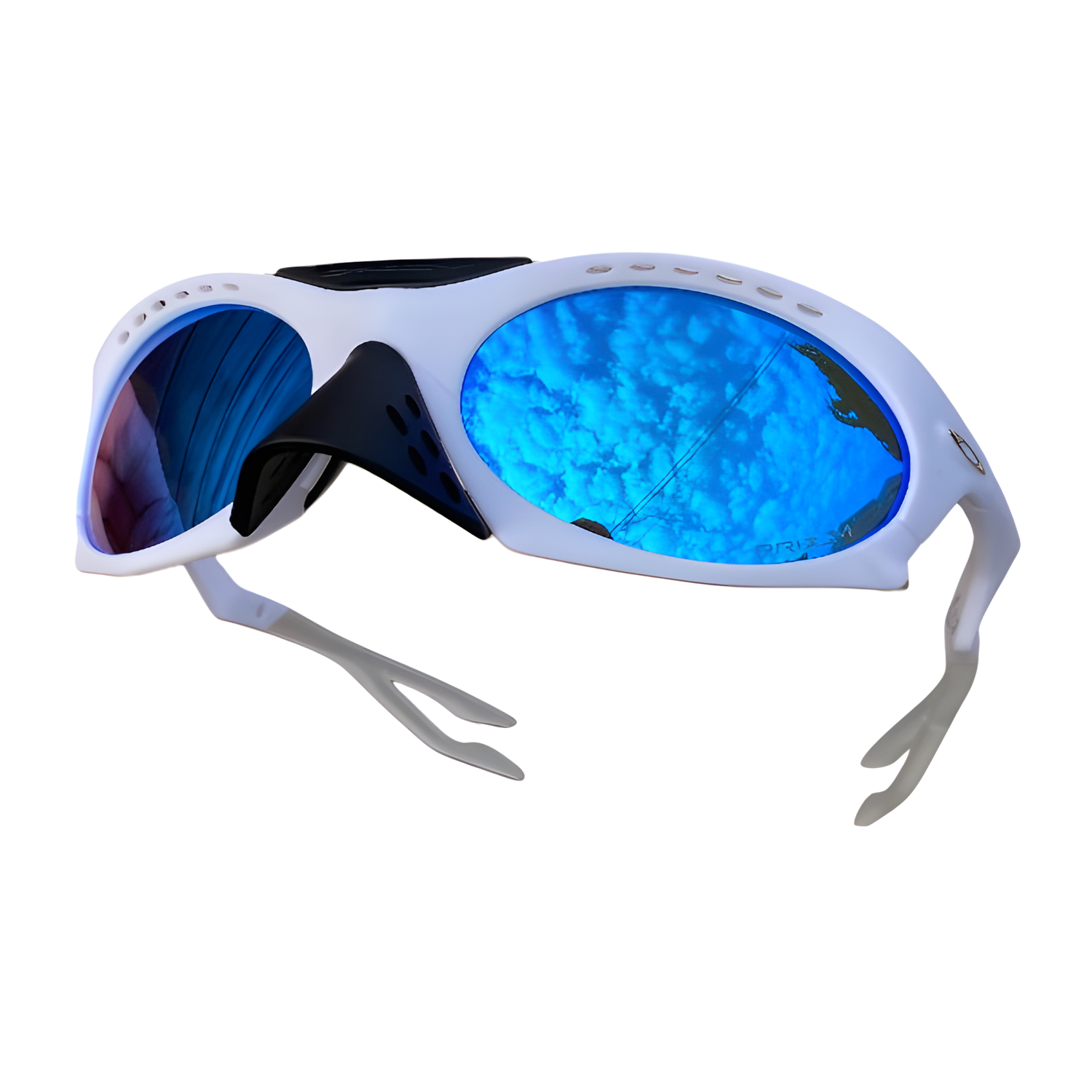 Óculos de Sol Plantaris Premium